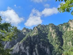 -王顺山国家森林公园