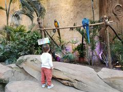 -杭州开元森泊度假乐园