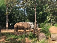 -清迈夜间动物园