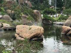 -罗红摄影艺术馆