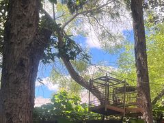 -正宗天津烧麦馆(柳州路店)