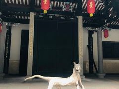 -青芝山风景名胜区