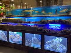 -喜庭海鲜自助(来福士店)