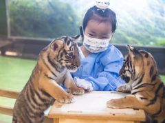 -栾川竹海野生动物园