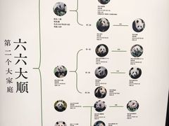 -龙湖重庆时代天街