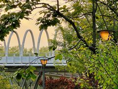 -大兴滨河森林公园