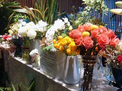 -懒人盐府人家(航天桥店)