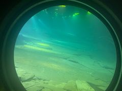 -白鹤梁水下博物馆