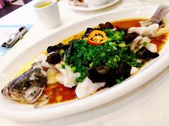 葱香淋鲈鱼-清心鸡沙田乳鸽店·非遗传承(粤垦路店)