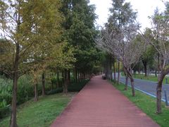 -东钱湖旅游度假区