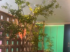 -宁邦·家宴·南京菜(红山动物园店)