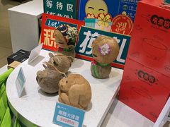 -春润大地海南椰子鸡(沙井京基百纳广场店)