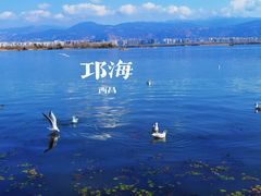 -西昌邛海湿地