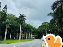 -深圳仙湖植物园
