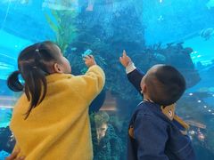 -鸿通城购物中心