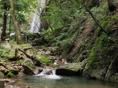 -本溪汤沟绿石谷森林公园