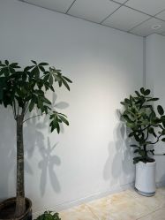 -M·X Nail日式美甲美睫