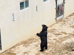 -石家庄市动物园