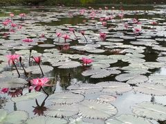 -白沙门生态公园