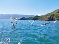 -泸沽湖里格半岛