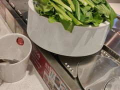油麦菜-龍歌自助小火锅(芝罘万达店)