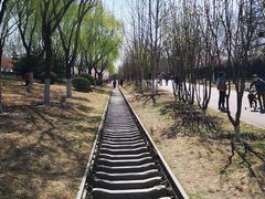 -永定河休闲森林公园