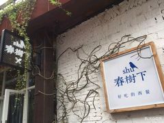 -春树下·树屋花房西餐厅(罍街AS1980店)