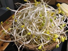 豆芽-美美老火锅(回龙湾店)