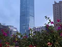 -听香·678茶铺(猛追湾店)