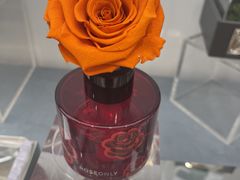 -ROSEONLY诺誓(广州K11店)