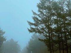 -白草畔自然风景区