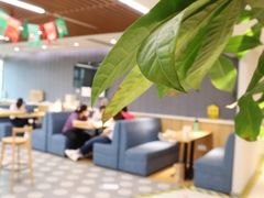 -樱花国际日语(人广中心)