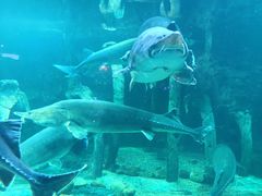 -华夏文旅海洋公园