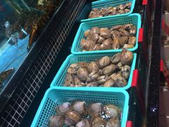 -海大大蒸汽海鲜餐厅·粤菜·特色小炒(欢乐颂店)