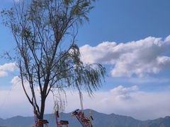 -野鸭湖国家湿地公园