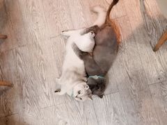 -小时光咖啡馆(北锣鼓巷店)