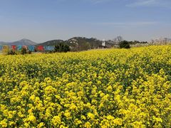 -西海岸生态观光园