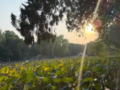 -莲池书院博物馆