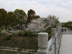 -上海海湾国家森林公园
