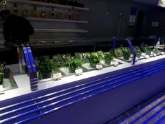 -国际青年会议酒店-苏莱斯餐厅