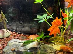 -上海海洋水族馆