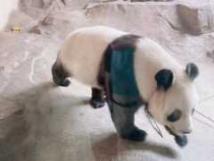 -宁波野生动物园