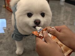 -八公叔叔宠物美容连锁(春申店)