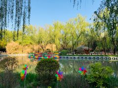 -南宫五洲植物乐园