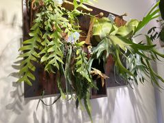 -echoes coffee回响咖啡(红山店)