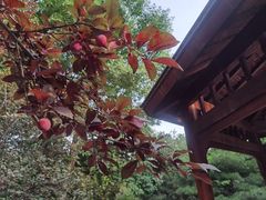 -春晖园度假酒店温泉