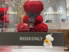 -ROSEONLY诺誓(磐基中心店)