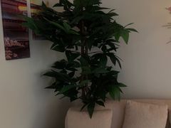 -南笙•新瘾私享日式SPA
