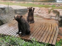 -海南热带野生动植物园