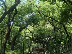 -吴山景区
